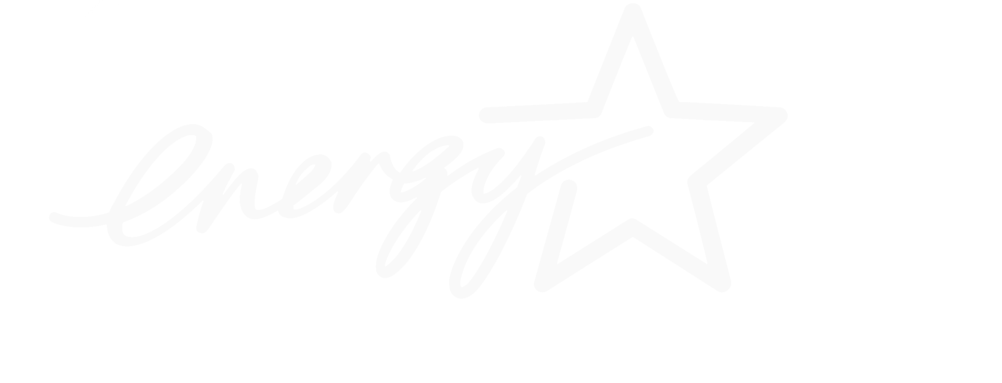 Energy Star Partner
